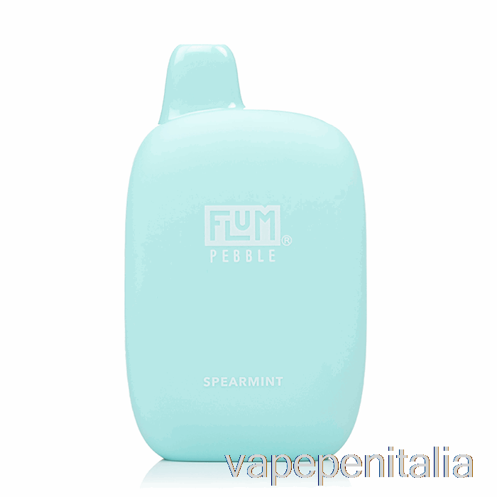 Scatola Vape Mod Flum Pebble 6000 Menta Verde Usa E Getta